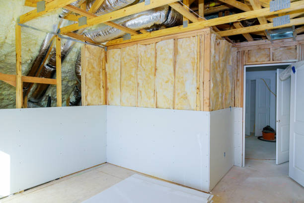 Types of Insulation We Offer in Laplace, LA